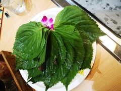 -千纸鹤嫩汁烤肉(西大直街店)