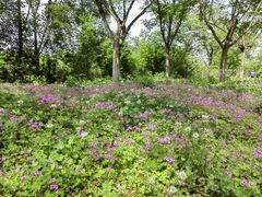 -白鹭湾湿地公园