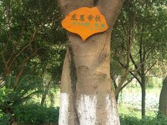 -广东金融学院(校本部)