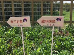 -上海长兴岛郊野公园