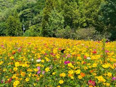 -贵阳市花溪国家城市湿地公园