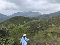 -大围山国家森林公园