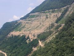 -九皇山景区