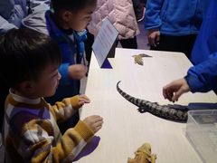 -上海大自然野生昆虫馆(东方明珠·爬宠昆虫探索中心)