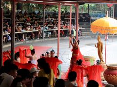 -西双版纳勐泐文化旅游区