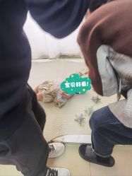 -蜜阁孕味亲子摄影(太奥广场店)