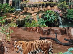 -长鹿旅游休博园