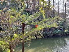 -深圳仙湖植物园