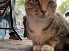 -熊仔屋(吉祥苑小区店)