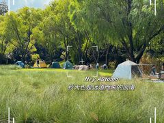 -上海滨江森林公园