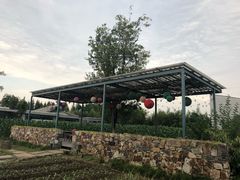 景点-田园东方蜜桃村的田野营地