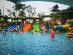 -苏州乐园森林水世界