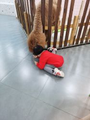 -Moni星球萌宠·小马宝莉·灵蛇·高端高阶全萌宠互动体验俱乐部(红豆国际广场店)