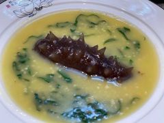 -春茗熙
