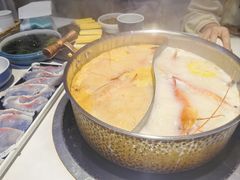 -濠七糟粕醋•海南酸汤火锅(中关村店)