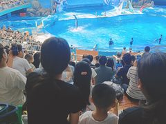 -海合安成都极地海洋公园