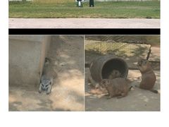 -南京珍珠泉风景区
