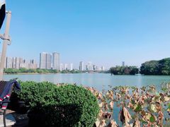 -时间仓(月湖公园店)