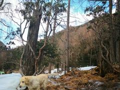 -贡嘎雪山