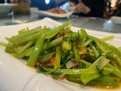 -白马宴·椒麻鸡(新华南路店)
