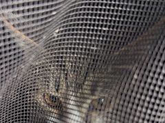 -艾吉宠物医院·疑难杂症转诊中心·猫友好(碧江路院)