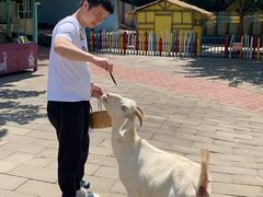 -西部长青自然儿童乐园