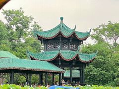 -桂湖森林公园