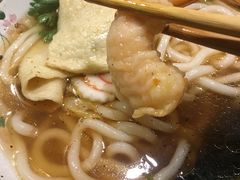 正统乌冬面-金龙咖喱