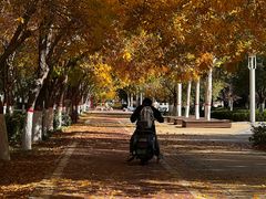 -三五九旅屯垦纪念馆