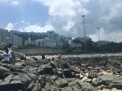 -香港大学