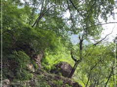 -妙峰山风景名胜区