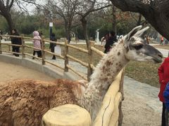 -西安秦岭野生动物园