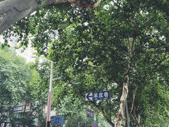 -老太皮肚面