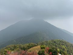 -梧桐山风景名胜区