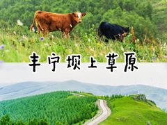 -百里天路