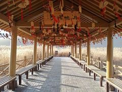 -敦煌老字号驴肉黄面(特色小吃街中段店)