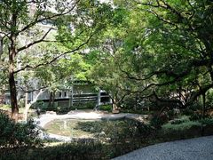 -香港大学
