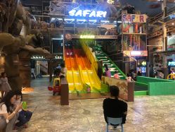 -卡通尼·Safari非洲探索乐园·生日会(金桥国际商业广场店)
