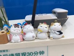 -全心全意连锁动物医院·微创中心·内科急重症·心脏专科(丰管路店)