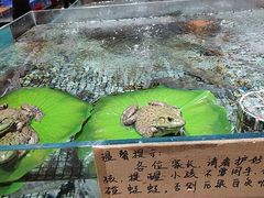 -传统菜农庄(皇姑路店)