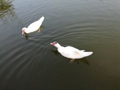 -鹦鹉寺公园
