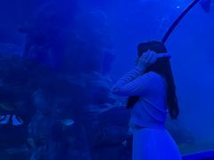 -左海海底世界
