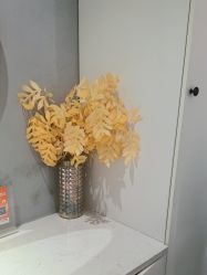 -Lily纤美·科技减脂中心