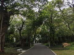 -南宁南湖公园