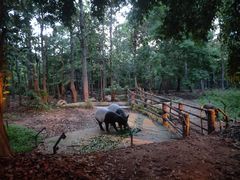 -清迈夜间动物园