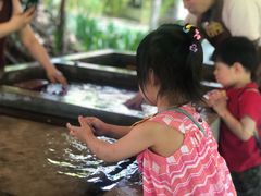 -大象粑粑造纸公园
