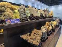 -游龙石文化科普馆