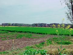 -田园东方蜜桃村的田野营地