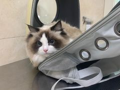 -酷宠动物医院(天通西苑店)