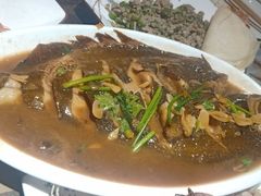 -大城·烧烤海鲜大排档(台东店)